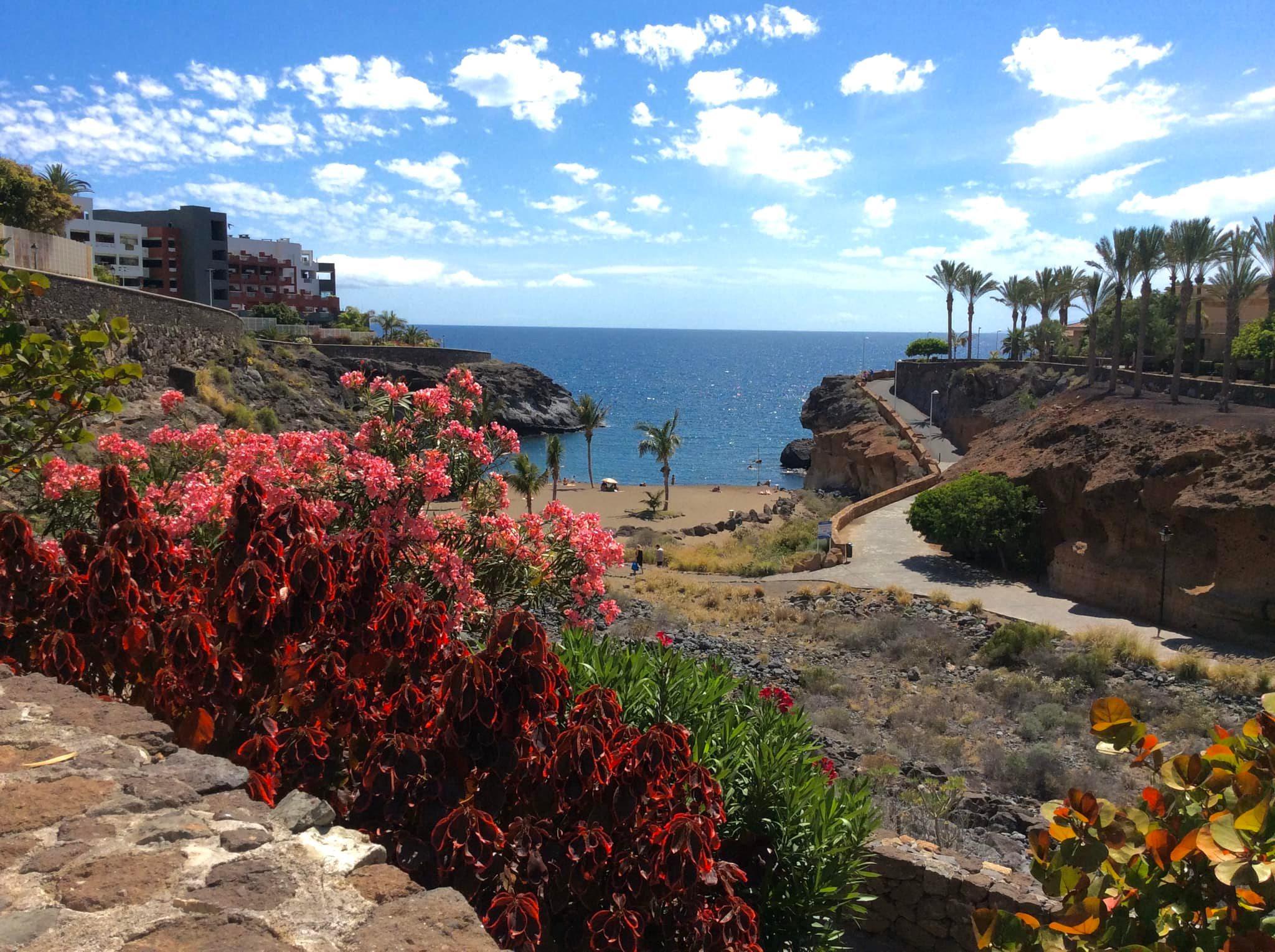 🌟 Apartment for Rent in South Tenerife – Playa Paraiso, Costa Adeje 🌟