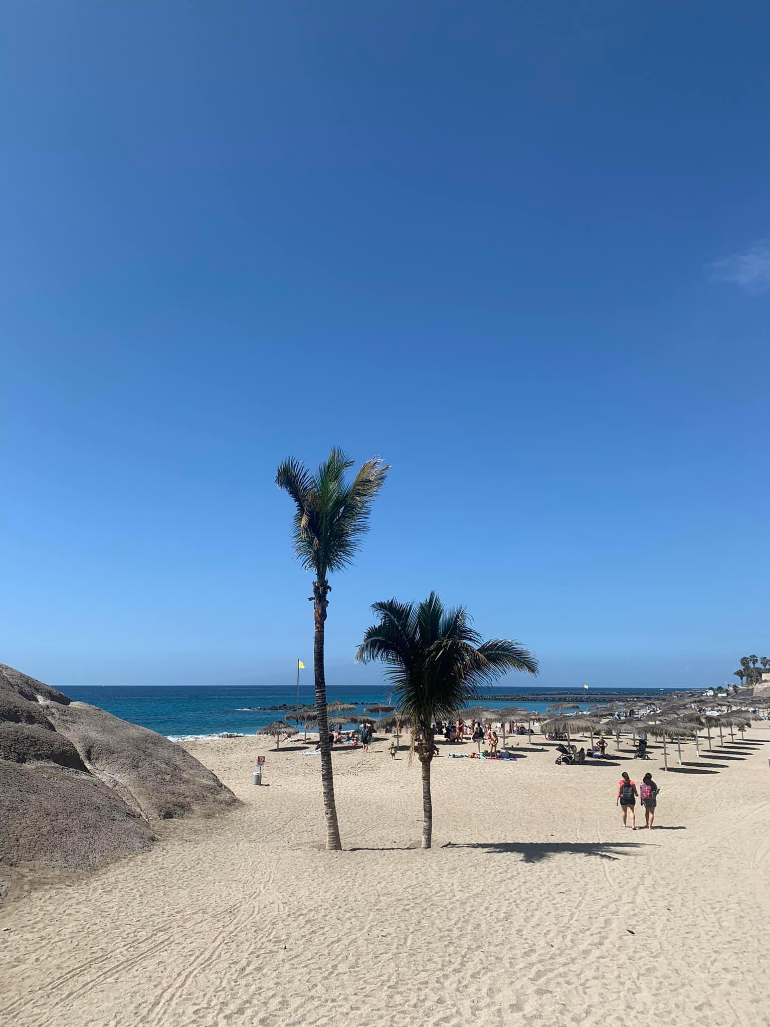 🌟 Apartment for Rent in South Tenerife – Playa Paraiso, Costa Adeje 🌟