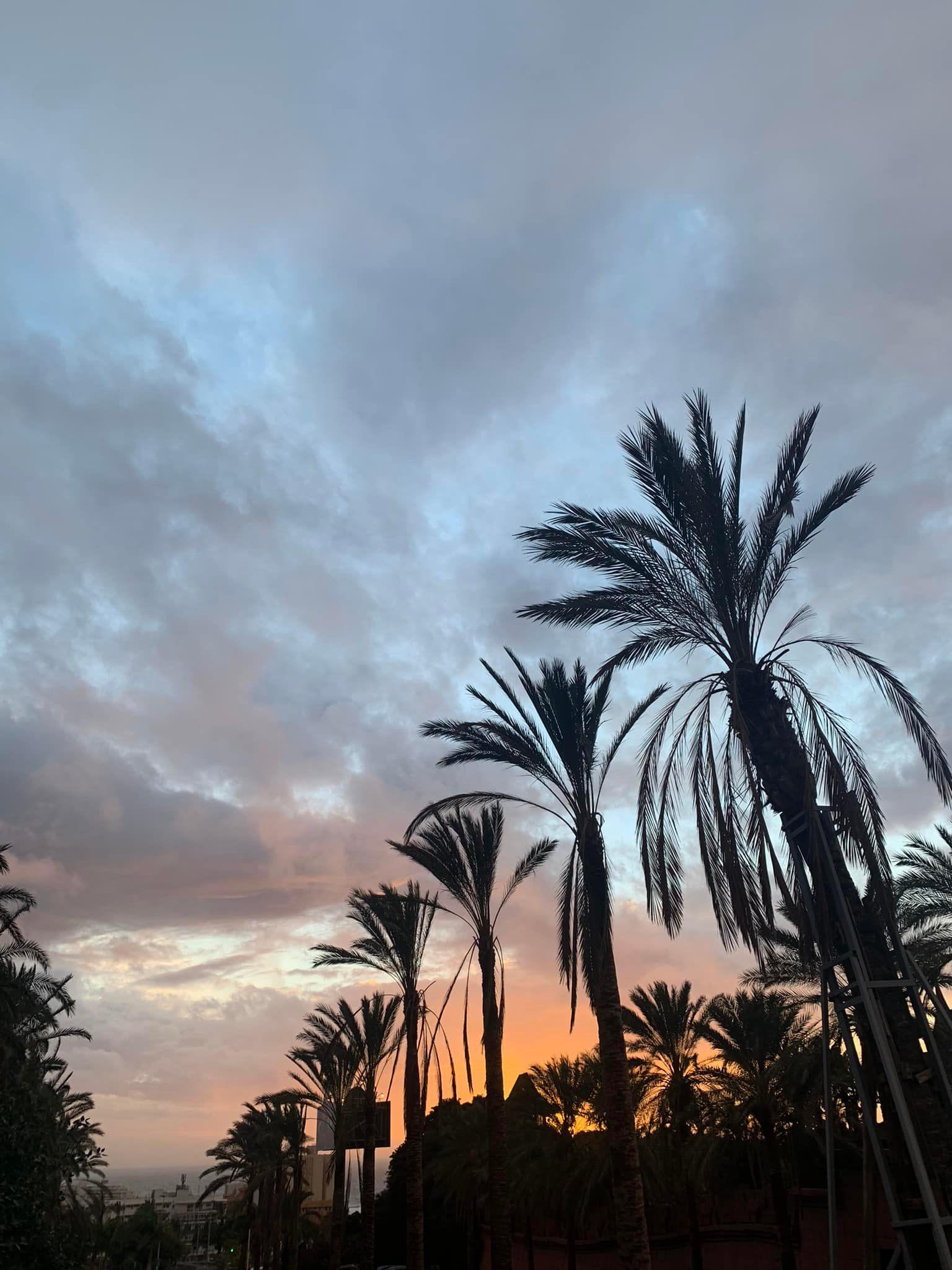 🌟 Apartment for Rent in South Tenerife – Playa Paraiso, Costa Adeje 🌟