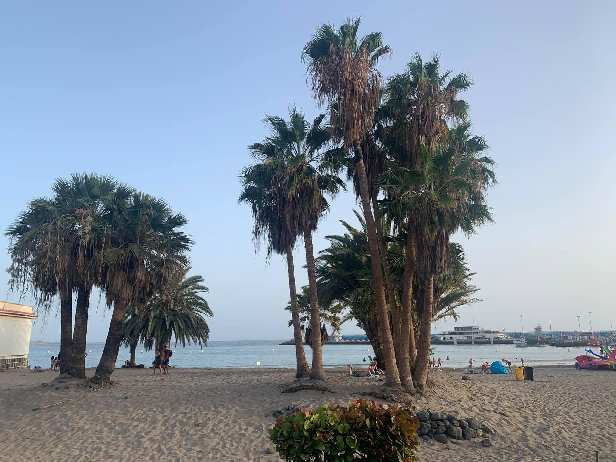 🌟 Apartment for Rent in South Tenerife – Playa Paraiso, Costa Adeje 🌟