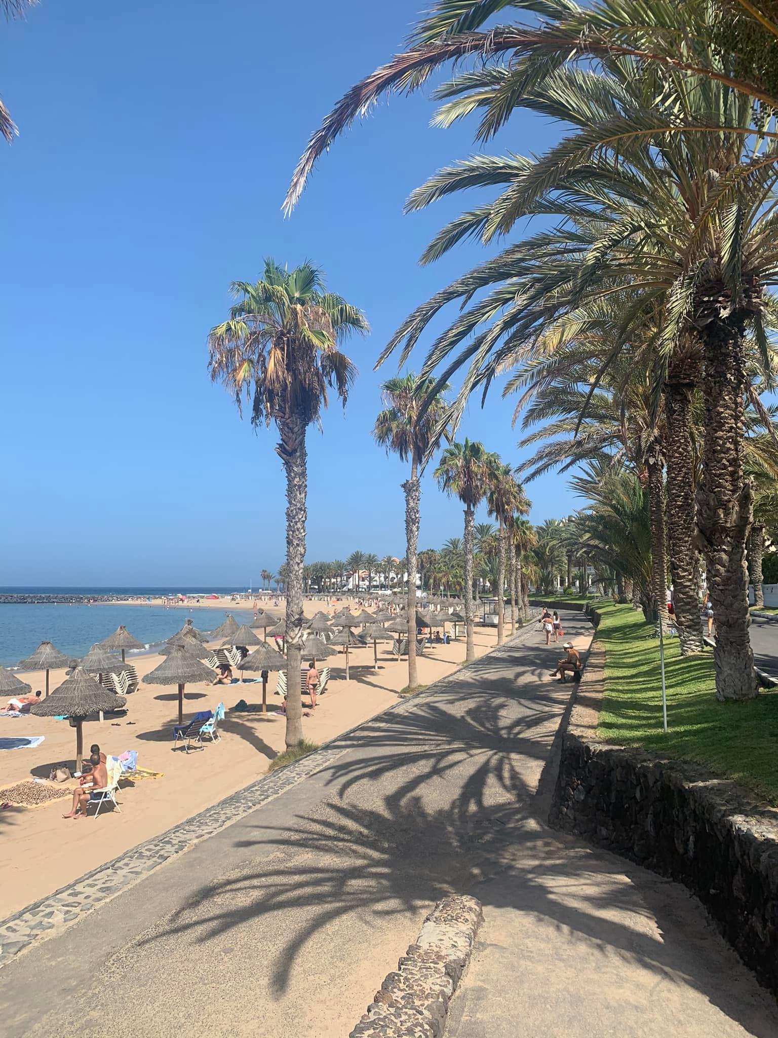 🌟 Apartment for Rent in South Tenerife – Playa Paraiso, Costa Adeje 🌟