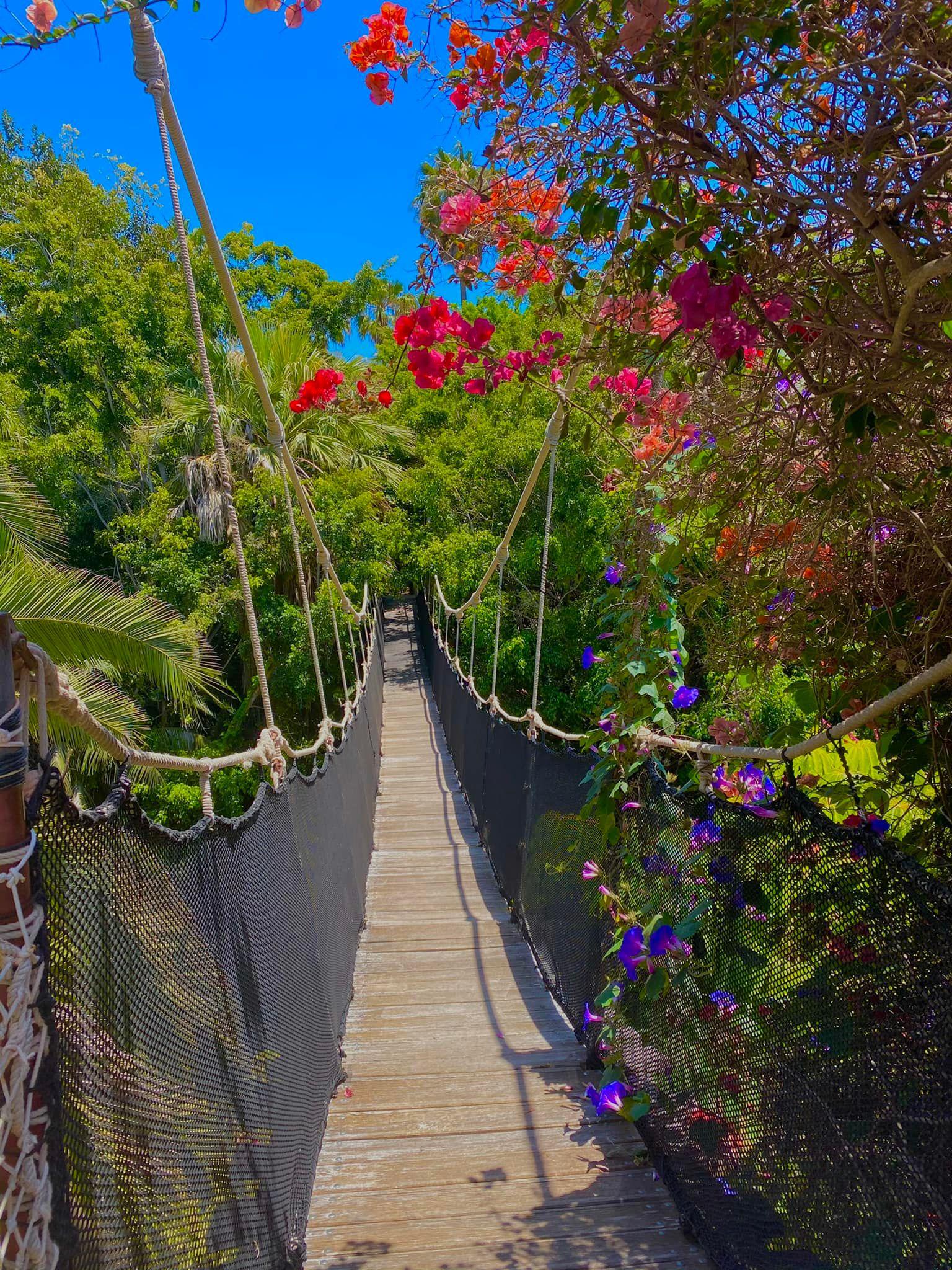 🌟 Apartment for Rent in South Tenerife – Playa Paraiso, Costa Adeje 🌟