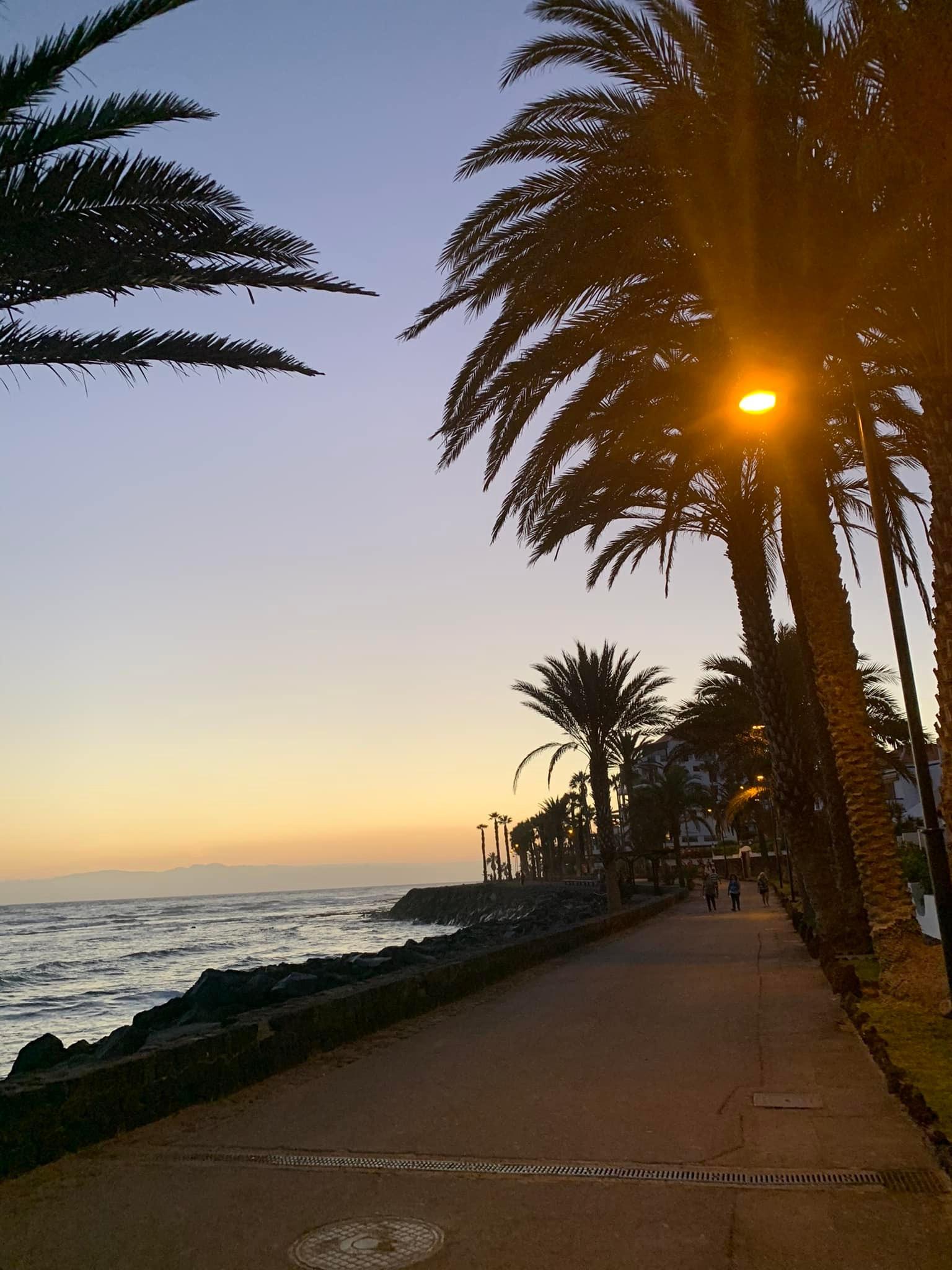 🌟 Apartment for Rent in South Tenerife – Playa Paraiso, Costa Adeje 🌟