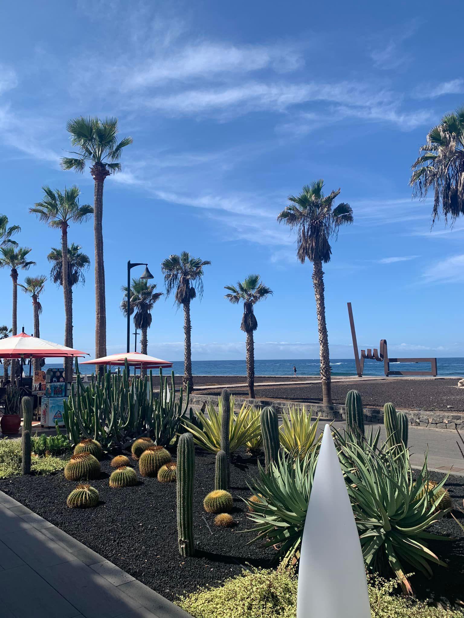 🌟 Apartment for Rent in South Tenerife – Playa Paraiso, Costa Adeje 🌟