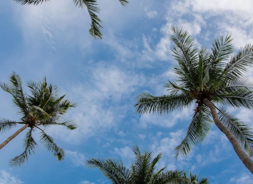 Koh Tao Coral Grand Resort